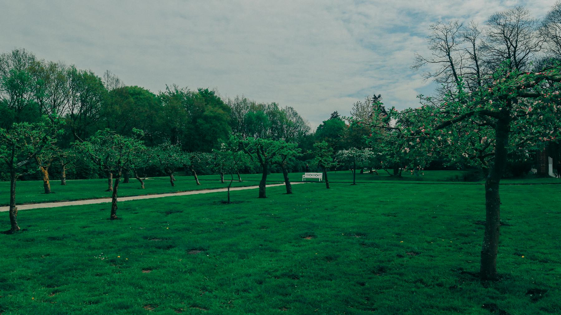 Grüne Park- und Gartenlandschaft als Motiv für Hage