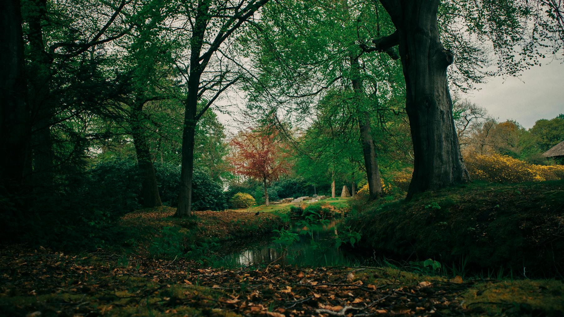 Grüner Wald und Wasserlauf als Motiv für Ihlow