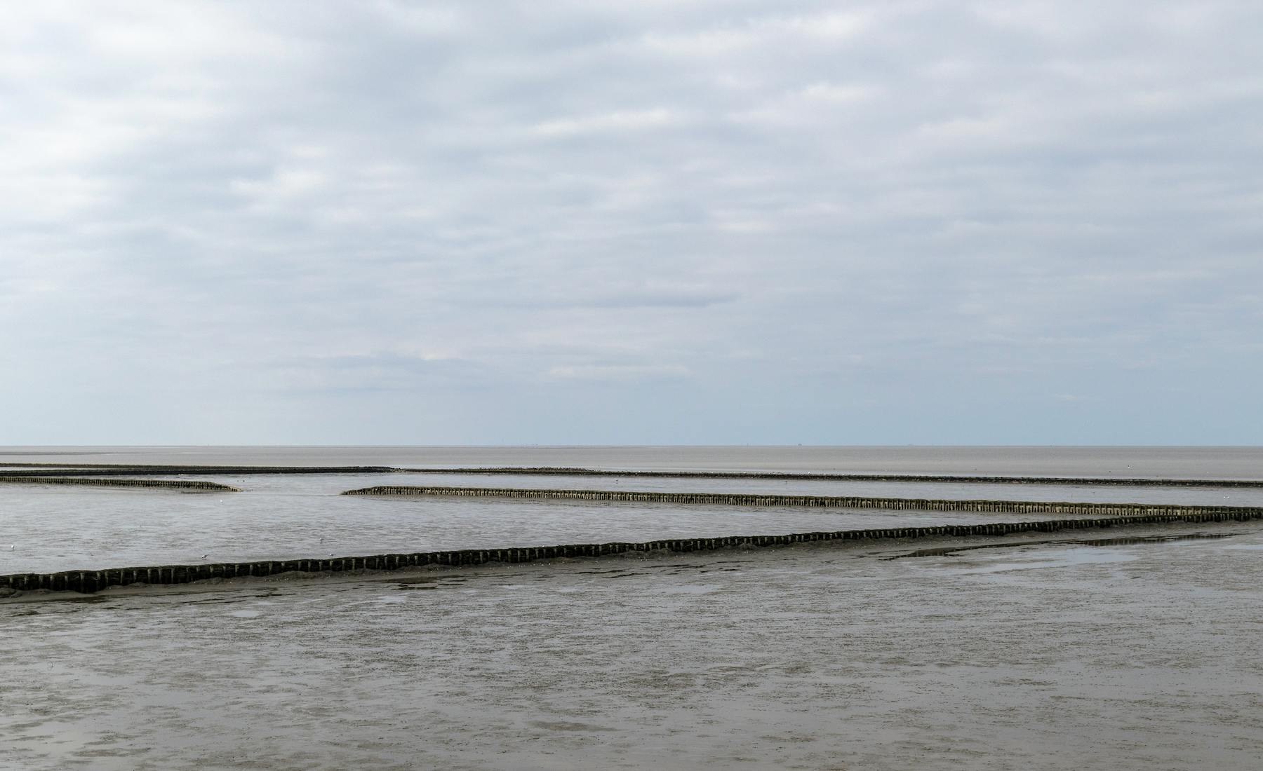 Wattenmeer und Buhnen an der Nordseeküste bei Norden
