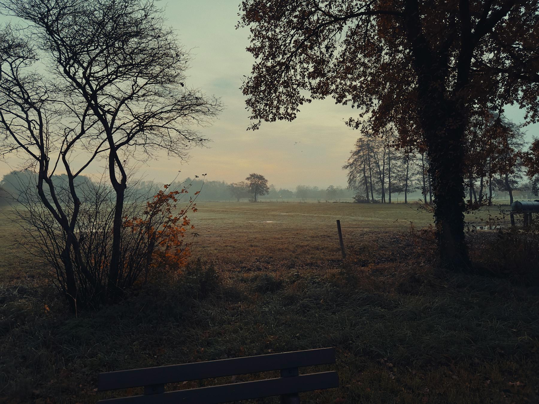 Morgendliche Wiesenlandschaft als regionales Motiv für Uplengen